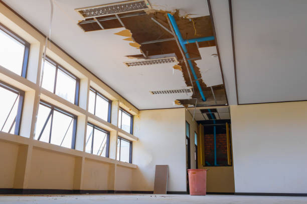 Best Emergency water damage restoration  in Risg Sun, IN