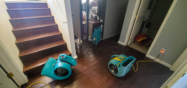 Best Water damage cleanup near me  in Risg Sun, IN