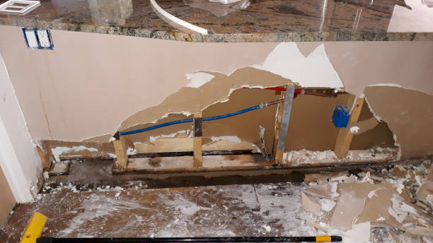 Best Flood restoration services  in Risg Sun, IN