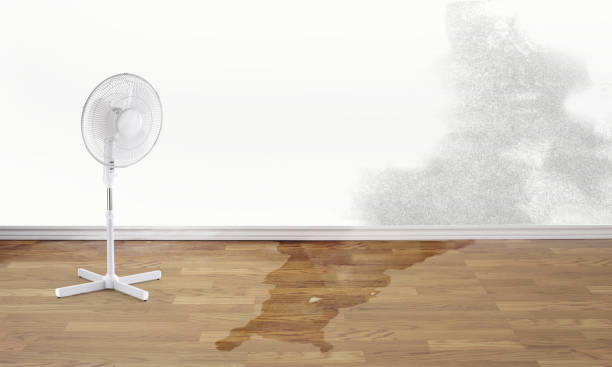 Best Fire Damage Restoration  in Risg Sun, IN