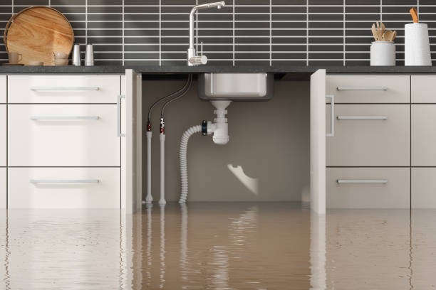 Best Water damage restoration company  in Risg Sun, IN