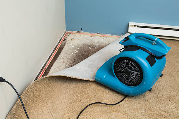 Best Water damage restoration near me  in Risg Sun, IN
